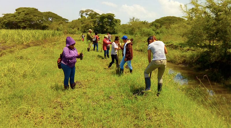 jornada-reforestacion-rivas